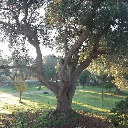 Sol Invictus Est Villa Serranova Exterior foto