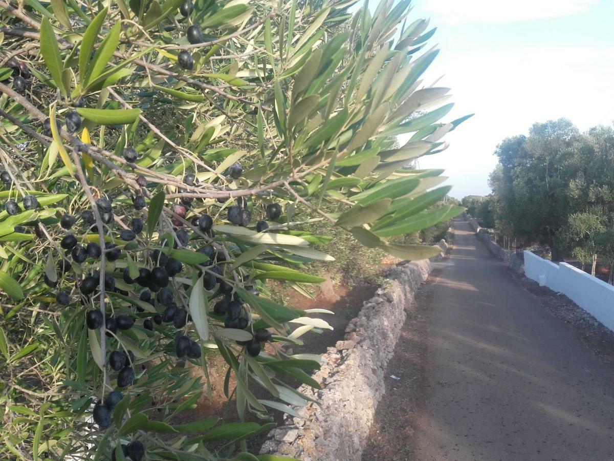 Sol Invictus Est Villa Serranova Exterior foto
