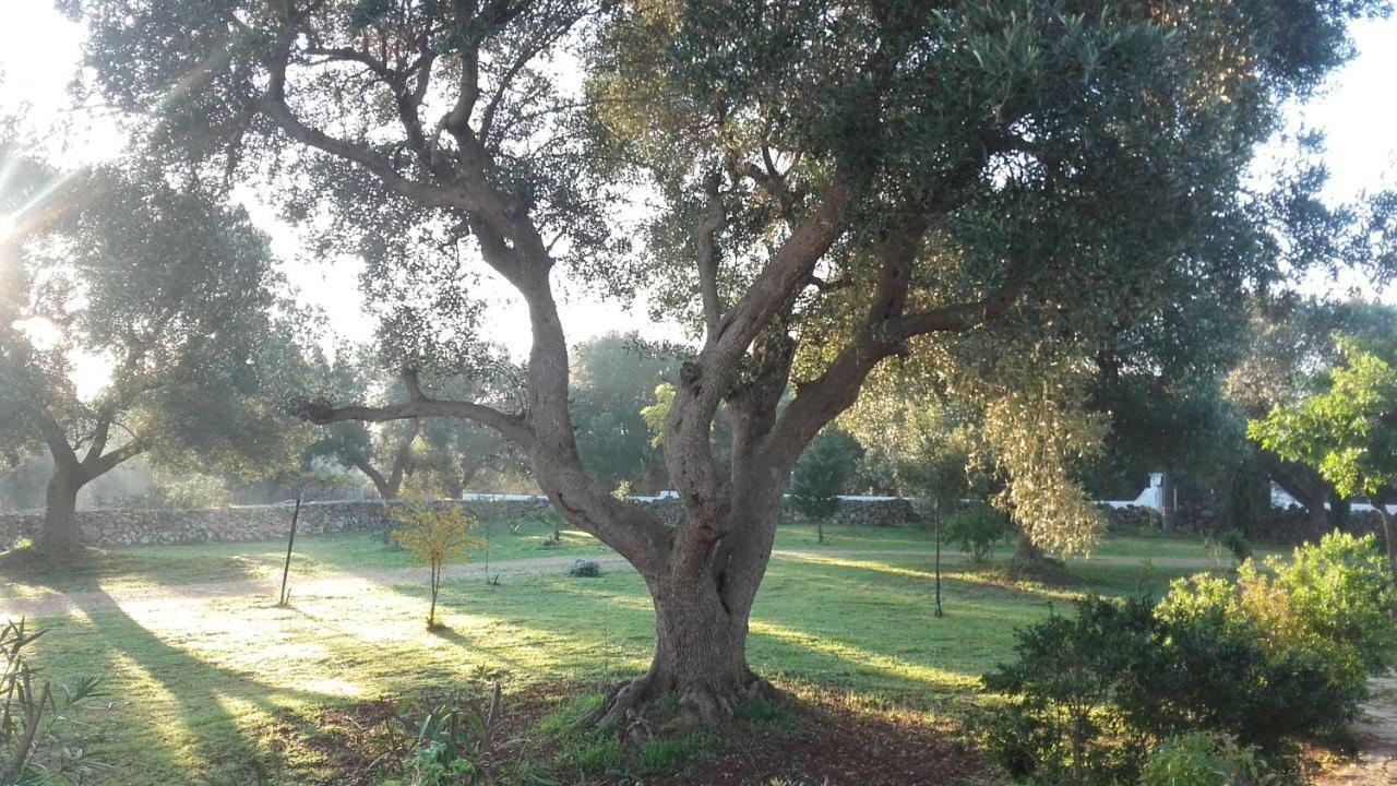 Sol Invictus Est Villa Serranova Exterior foto